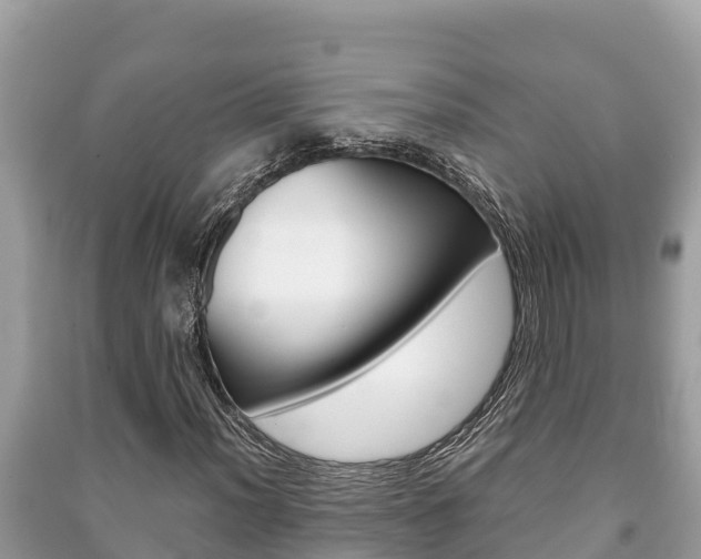 X0000091221012200708091132