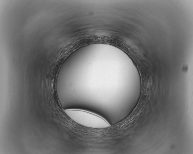 X0000091221013200708091132