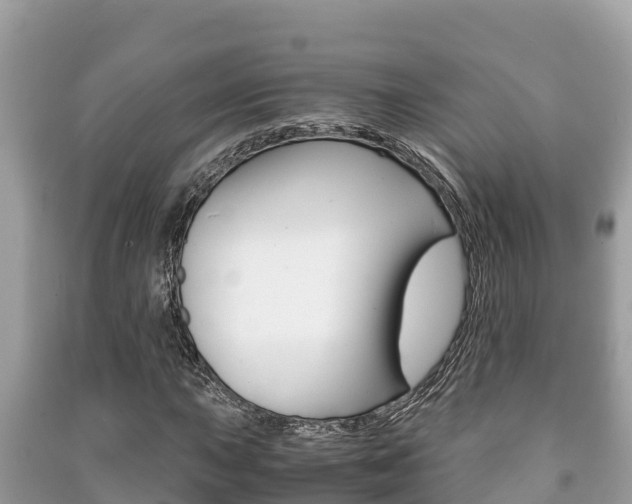 X0000091221015200708091132
