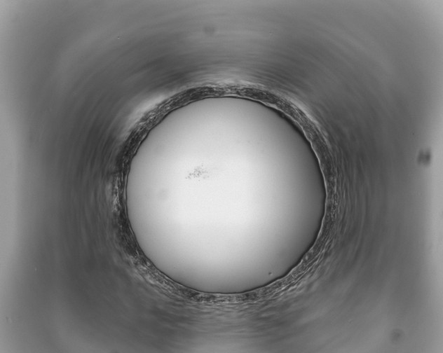 X0000091221016200708091132