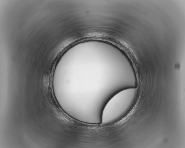 X0000091221017200708091132