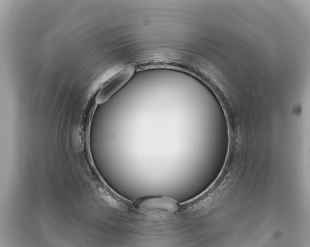 X0000091221018200708091133