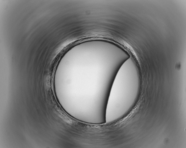 X0000091221019200708091133