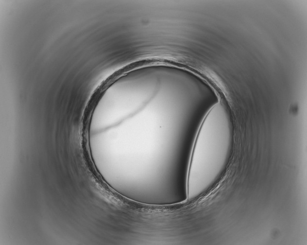 X0000091221020200708091133