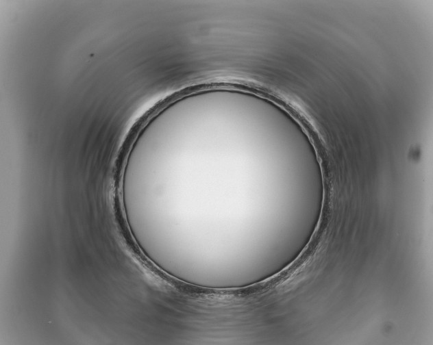 X0000091221024200708091133