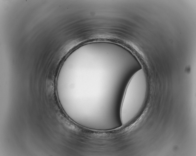 X0000091221025200708091133