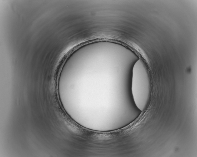 X0000091221027200708091133