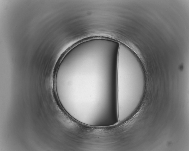 X0000091221028200708091133