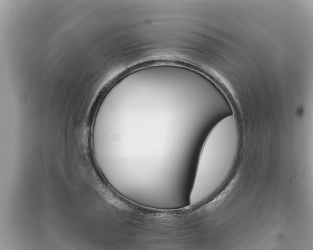X0000091221029200708091133