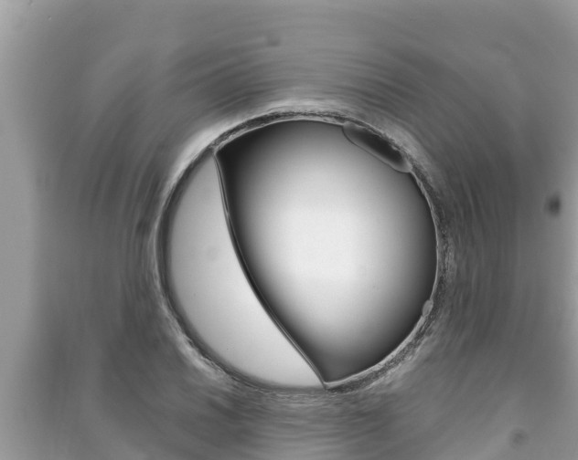 X0000091221030200708091133