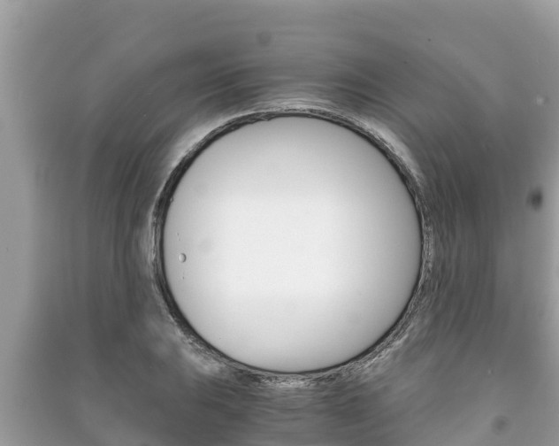X0000091221031200708091133