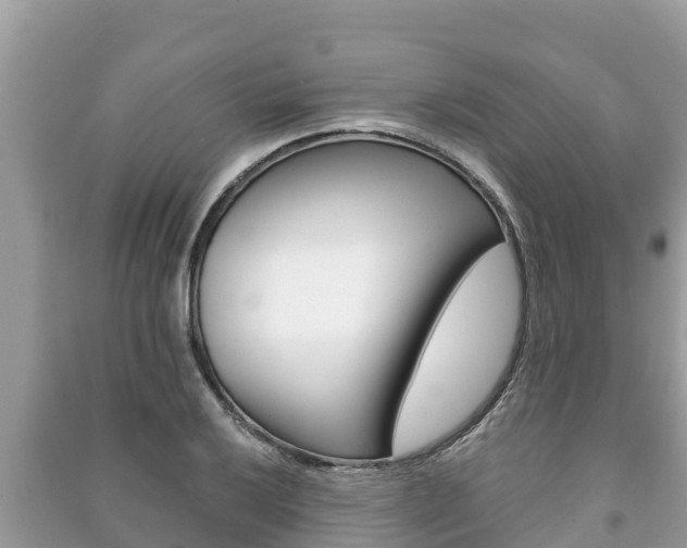 X0000091221032200708091133