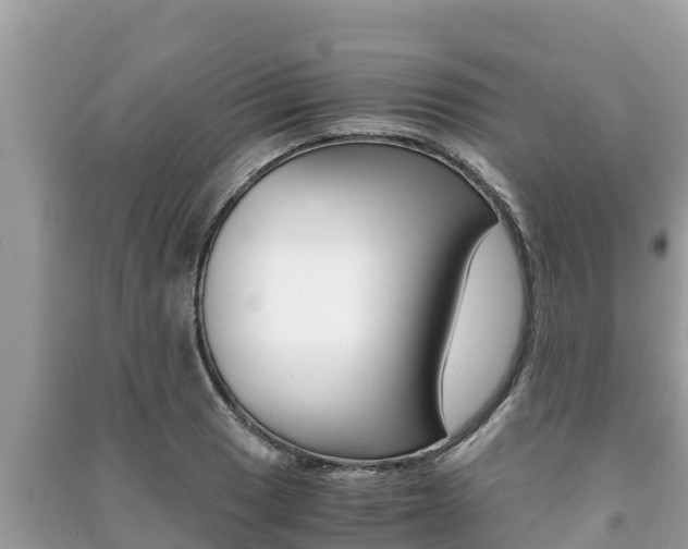 X0000091221033200708091133