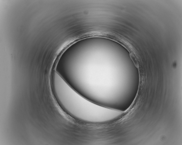 X0000091221034200708091133