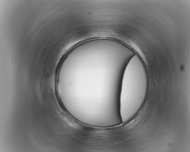 X0000091221035200708091133