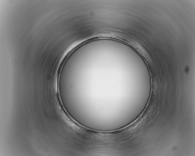 X0000091221036200708091133