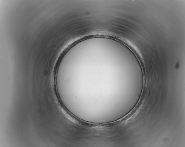 X0000091221037200708091133