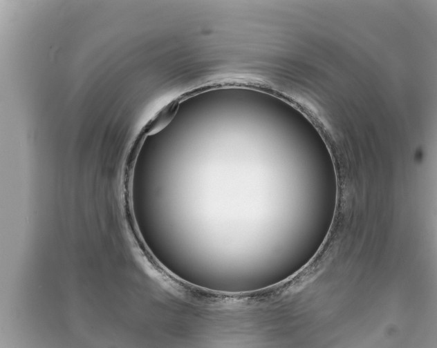 X0000091221038200708091133