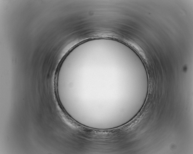X0000091221039200708091133