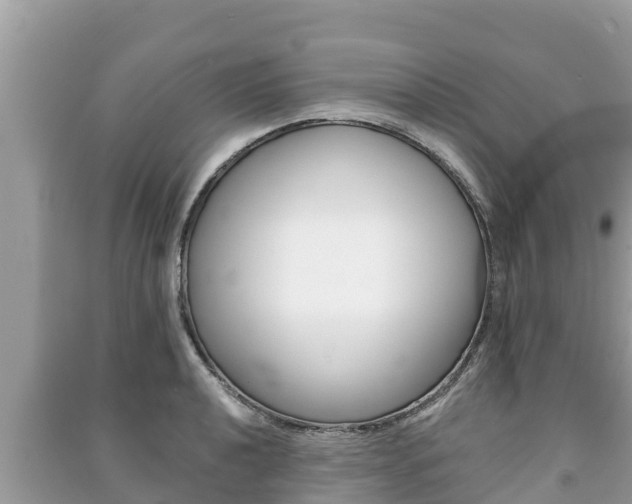 X0000091221040200708091133