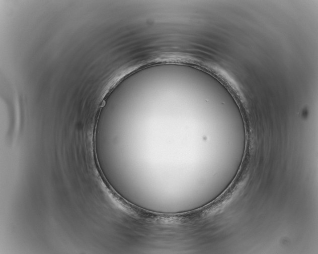 X0000091221041200708091133
