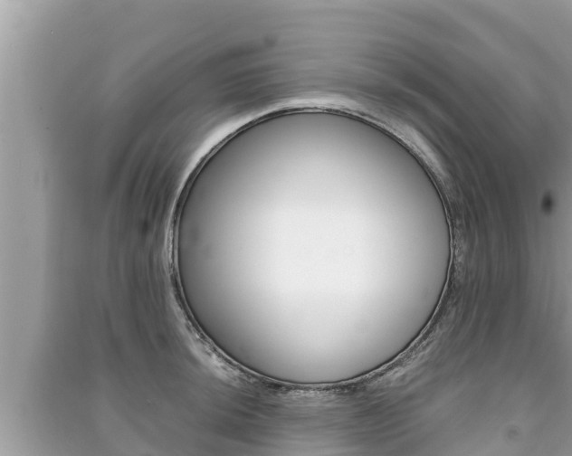 X0000091221044200708091133