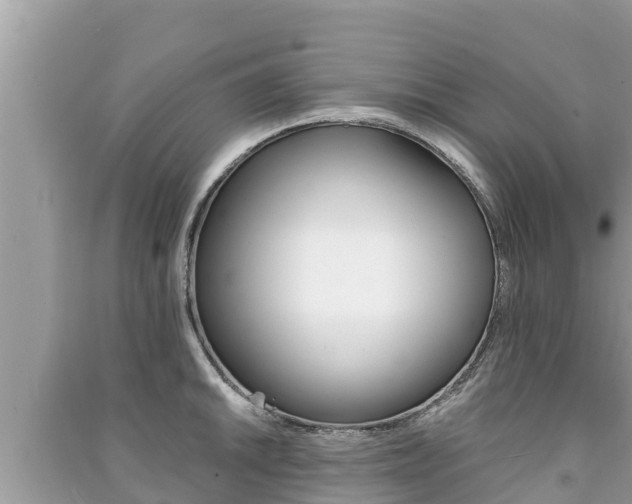 X0000091221046200708091133