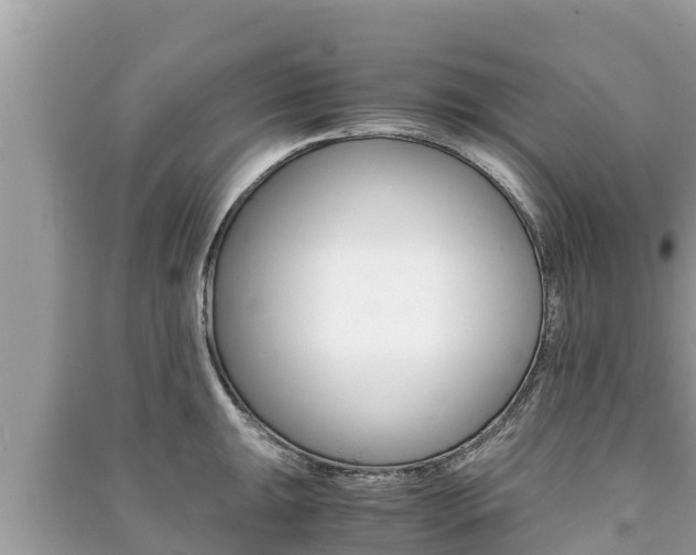 X0000091221047200708091133