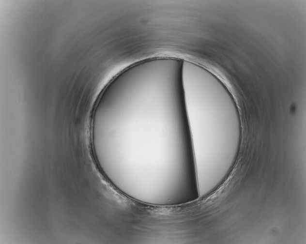 X0000091221048200708091133