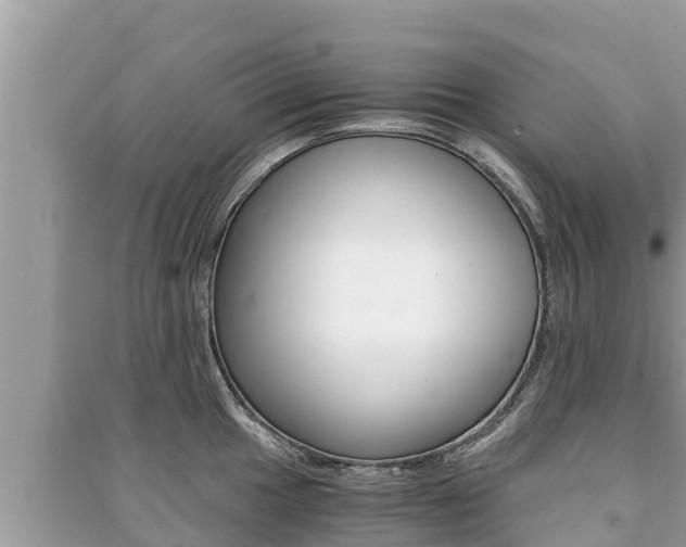X0000091221049200708091133