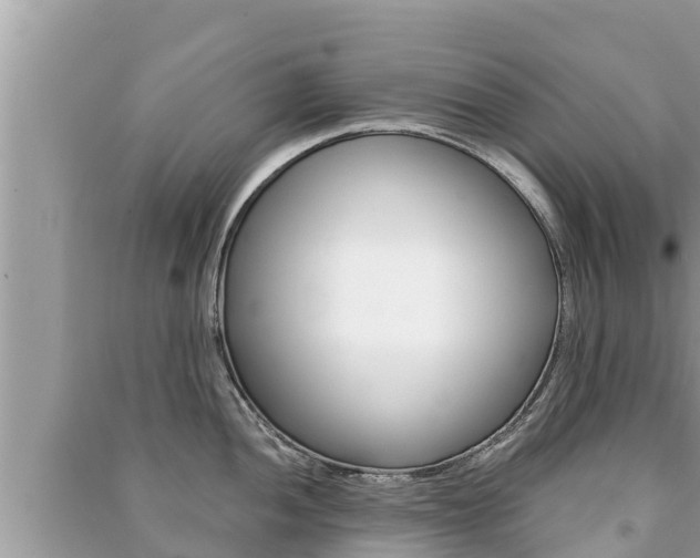 X0000091221052200708091133