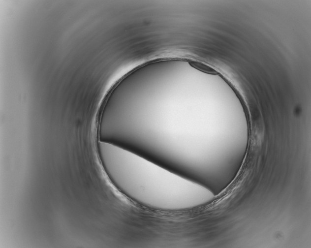 X0000091221053200708091133