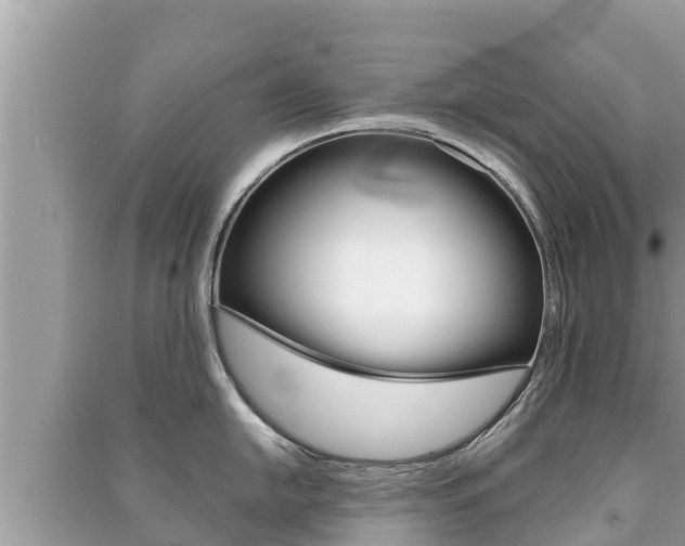 X0000091221054200708091133