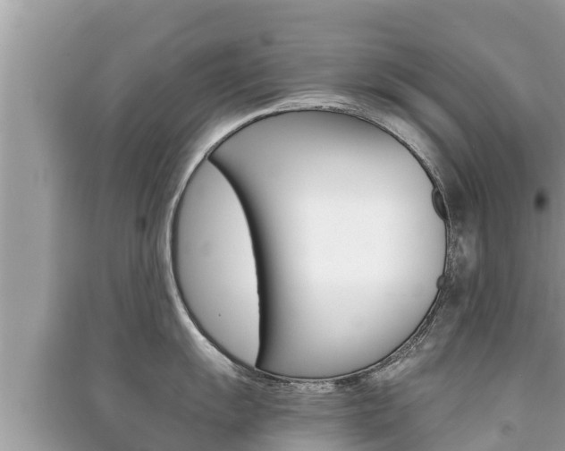 X0000091221055200708091133