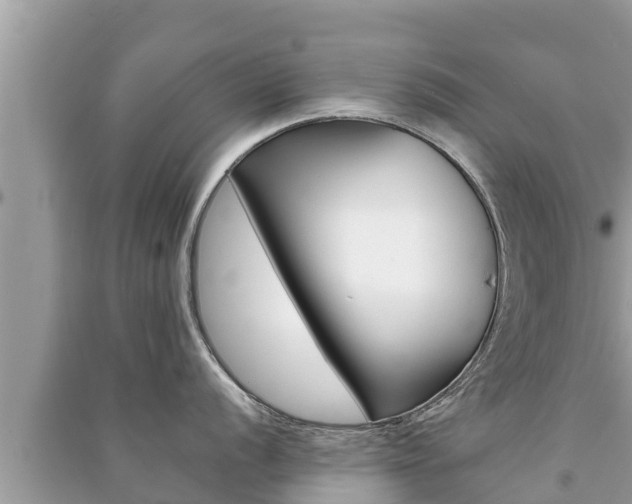X0000091221056200708091133