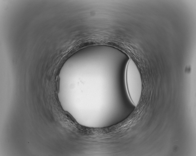 X0000091221057200708091132