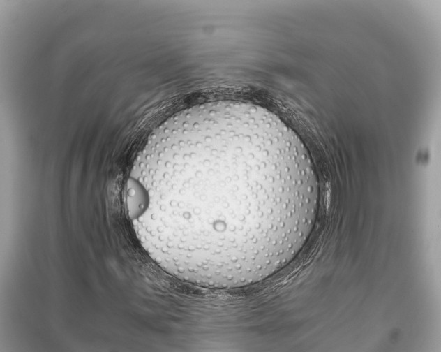X0000091221059200708091132