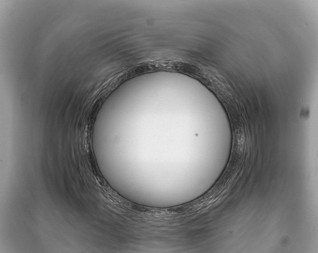 X0000091221060200708091132