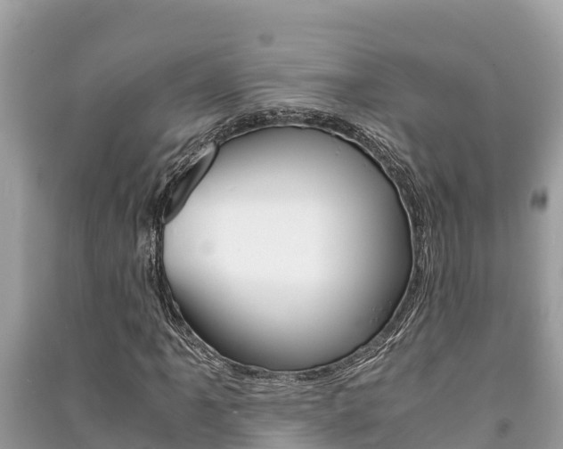 X0000091221061200708091132