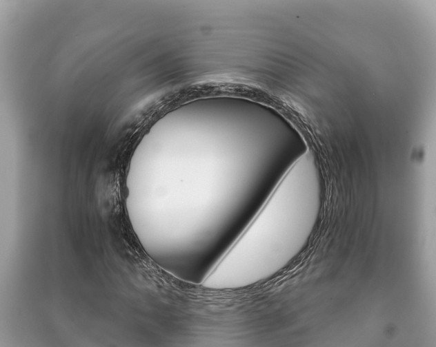 X0000091221062200708091132