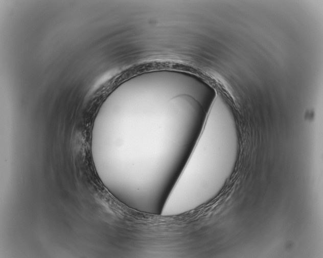 X0000091221064200708091132