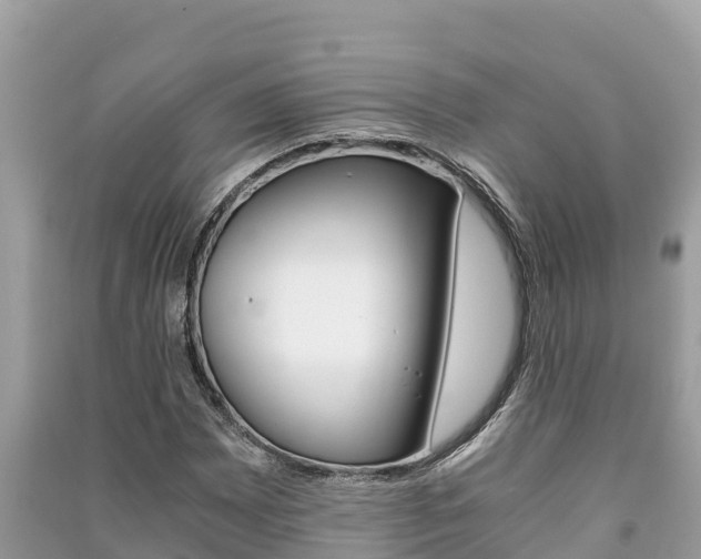 X0000091221065200708091132