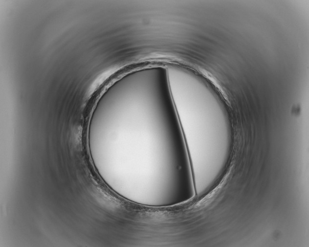 X0000091221066200708091132