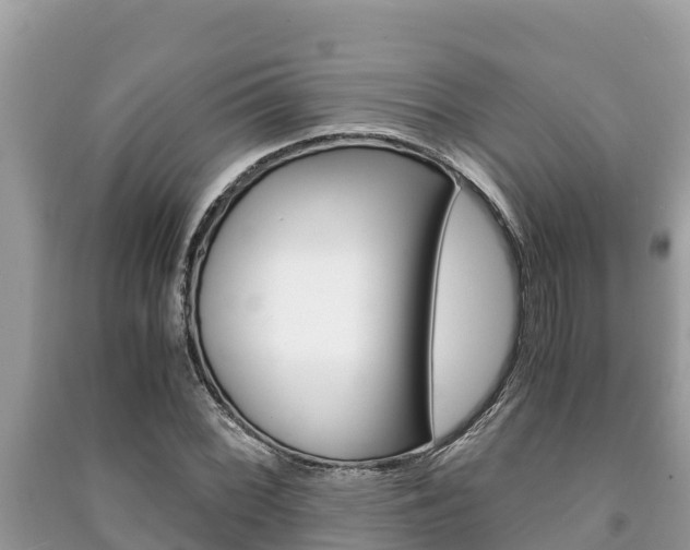 X0000091221068200708091132