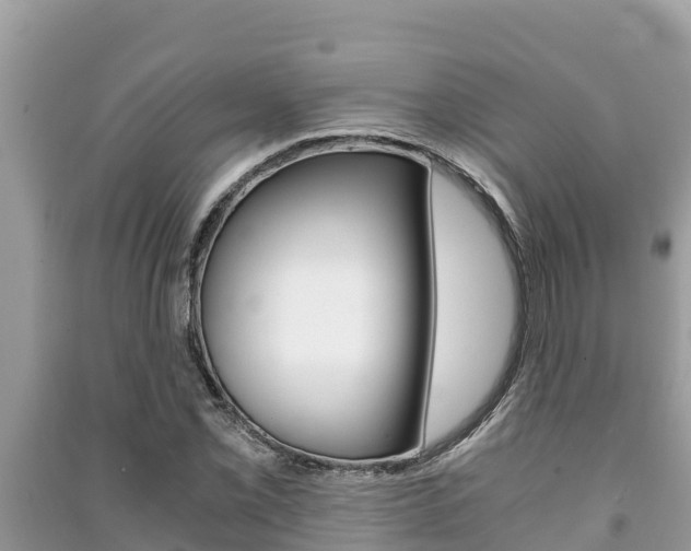X0000091221069200708091132
