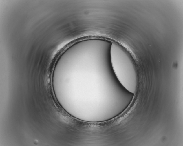 X0000091221070200708091132