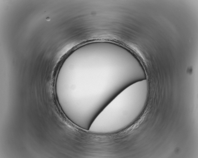 X0000091221071200708091132