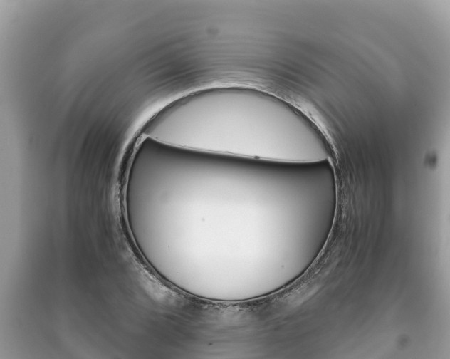 X0000091221072200708091132