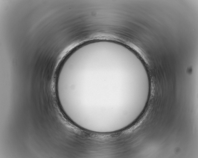 X0000091221074200708091132