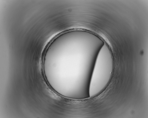 X0000091221076200708091132